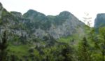 2014-07-05_Laengental-N-Hochweg (598)b. JPG
